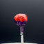 Becky's Sour Treats Lollipop (Edizione Limitata Halloween)