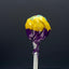 Becky's Sour Treats Lollipop (Edizione Limitata Halloween)